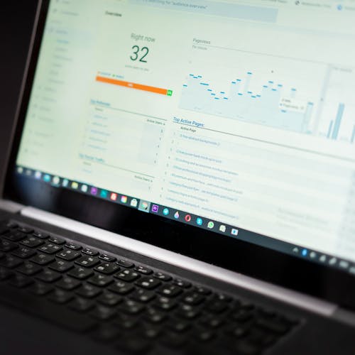 Website Design & SEO